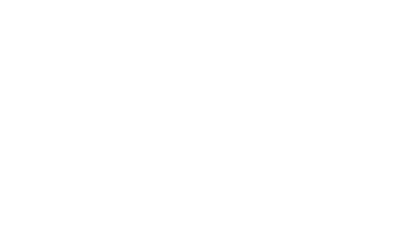Silver Garden — Pole & Yoga Studio